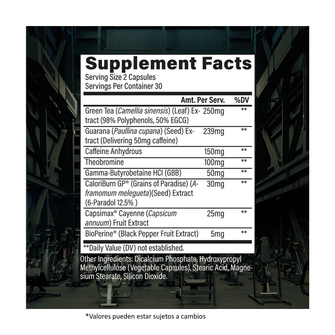 RAW ESSENTIAL FAT BURNER 60 CAP